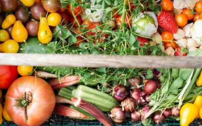 Dirty Dozen and Clean Fifteen: Choosing Organic Produce Wisely and Informed