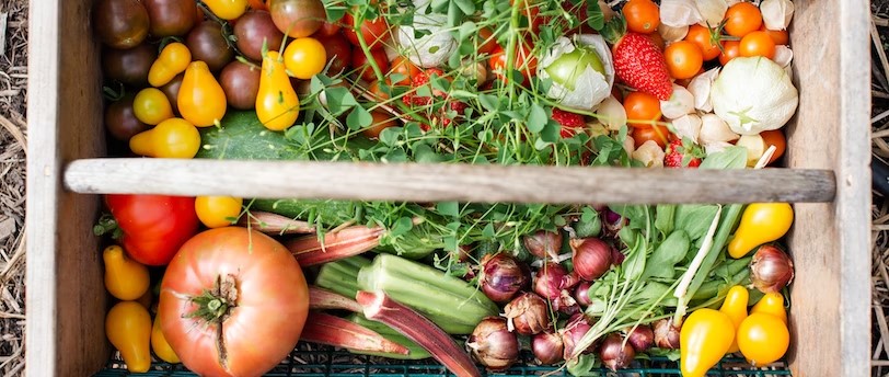 Dirty Dozen and Clean Fifteen: Choosing Organic Produce Wisely and Informed