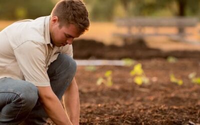 Is It Worth Having Your Own Organic Garden? Reasons to Grow Your Own Organic Produce