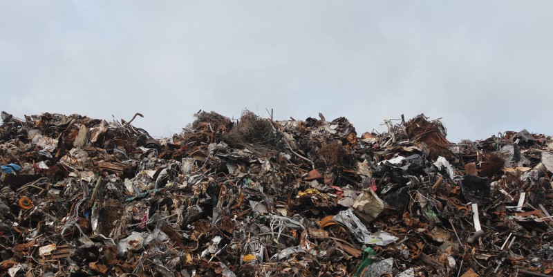 Top tips to reduce your ecological footprint - landfill waste - just organics