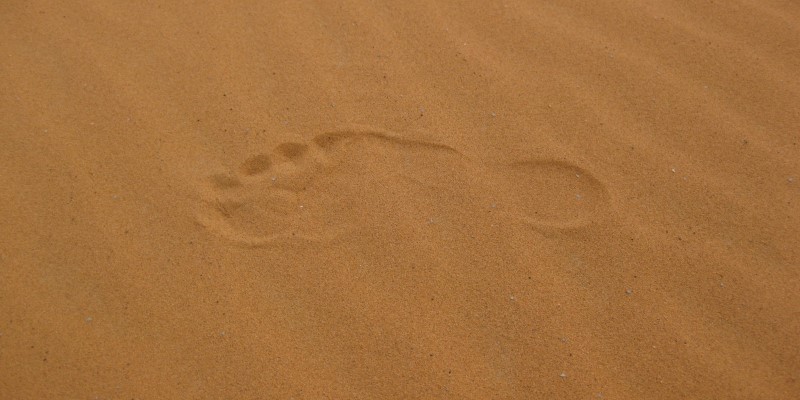 Top tips to reduce your ecological footprint - lower footprint - just organics