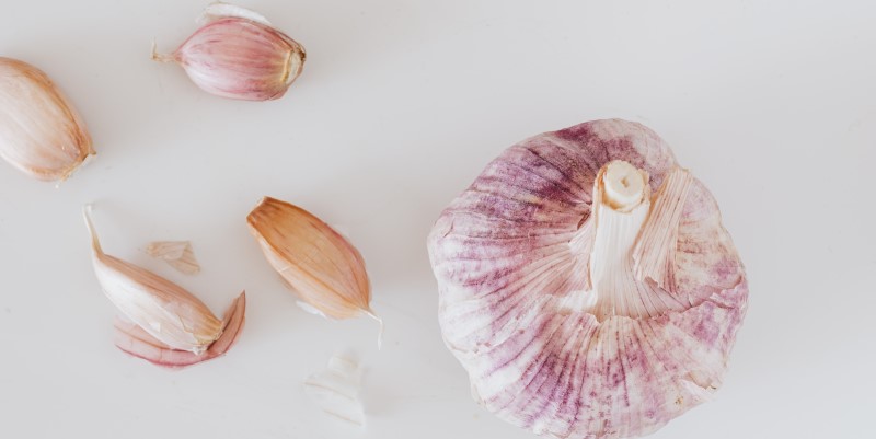 boost your immune system - garlic - just organics