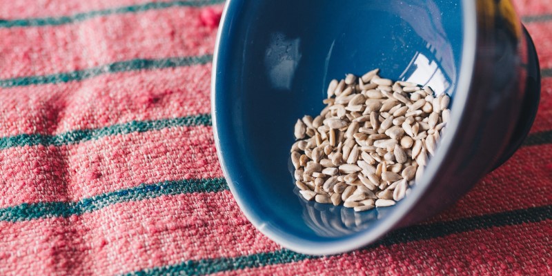 boost your immune system - sunflower seeds - just organics