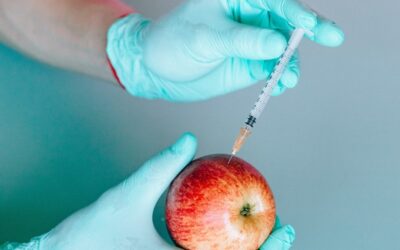 The Pros and Cons of GMOs: Genetically Modified Organisms