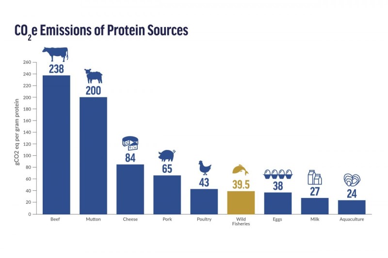 Sustinable Living Tips - Carbon Emissions from Protein - Just Organics